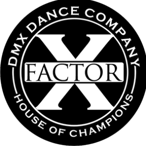 Profile picture of DMX Dance Company